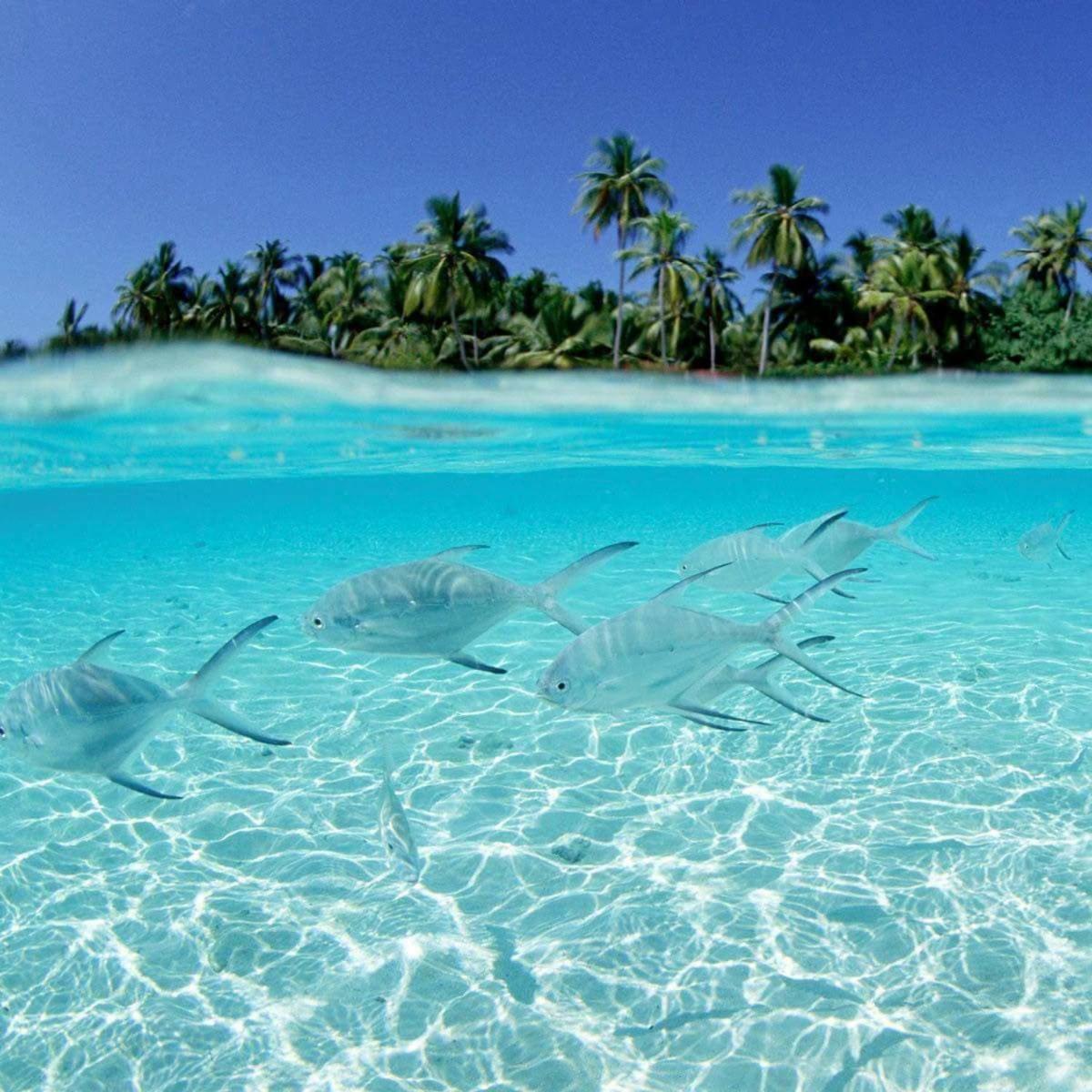 Punta Cana Sol Caribe Beach Pool ภายนอก รูปภาพ